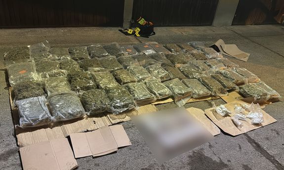 Krakowska policja rozbiła narkotykowy biznes w Bronowicach – zabezpieczono 115 kg środków odurzających