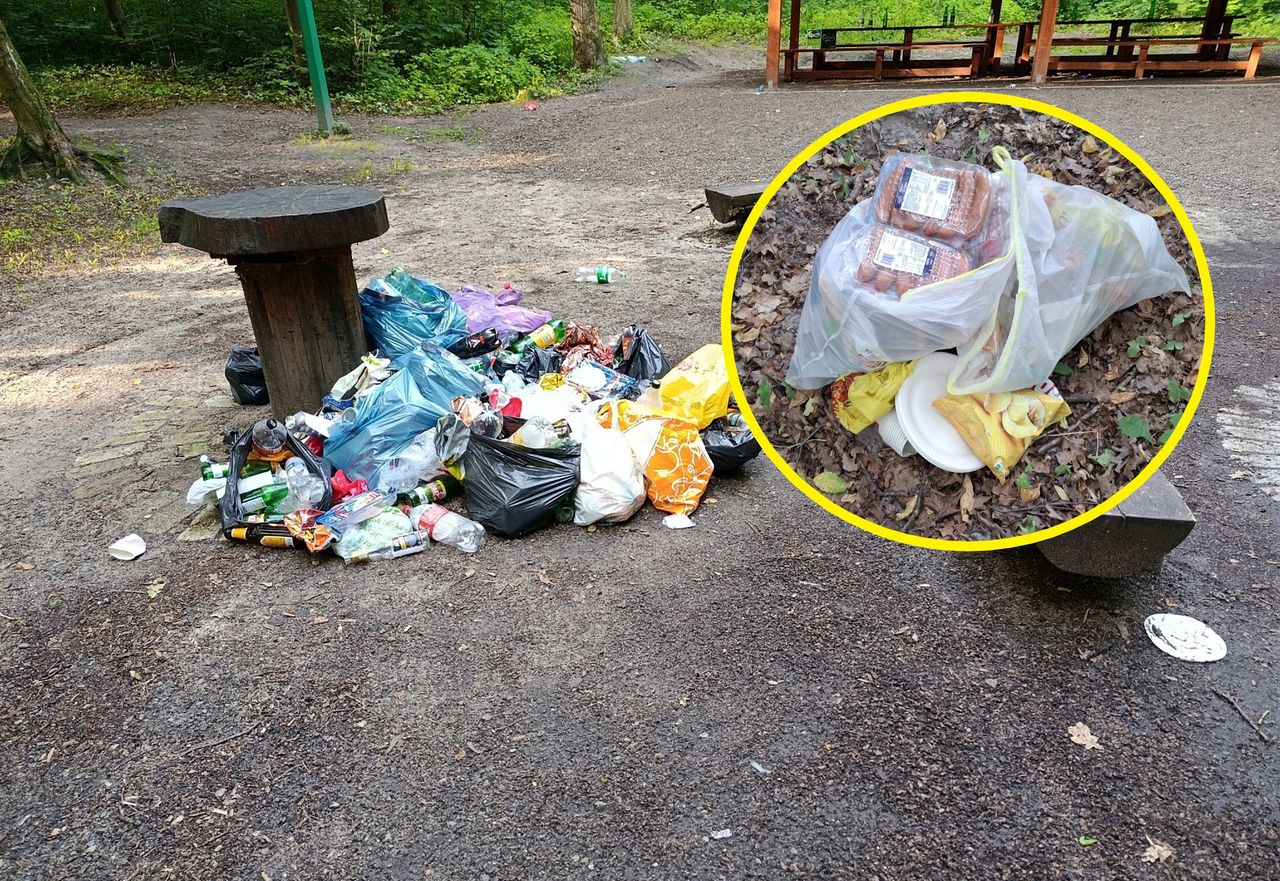 Straż leśna pokazała zdjęcia. Zobaczcie, co było w workach