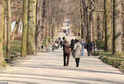 Postawili ławkę za 120 tys. zł. Burmistrz wyjaśnia, skąd wzięto pieniądze