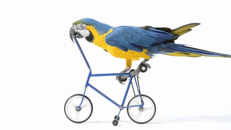 W skrócie: Galaxy S5 Active w Polsce, Dumb Ways to Die 2 i Honor 3C na wideo 1