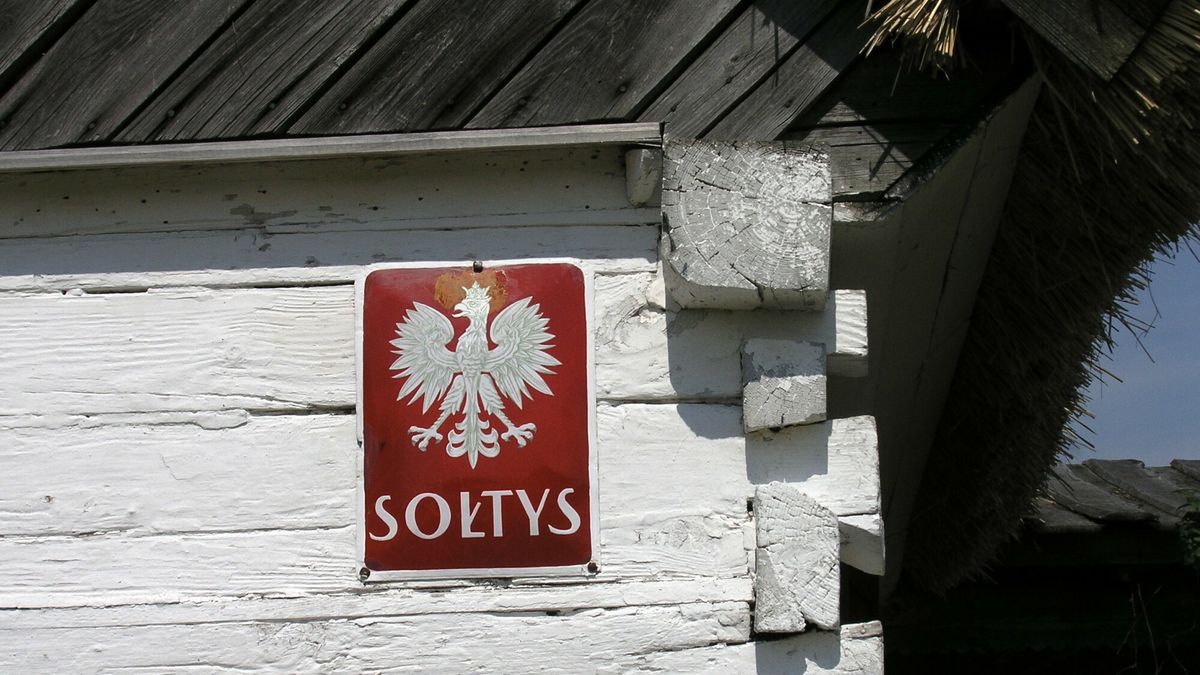 Sołtys