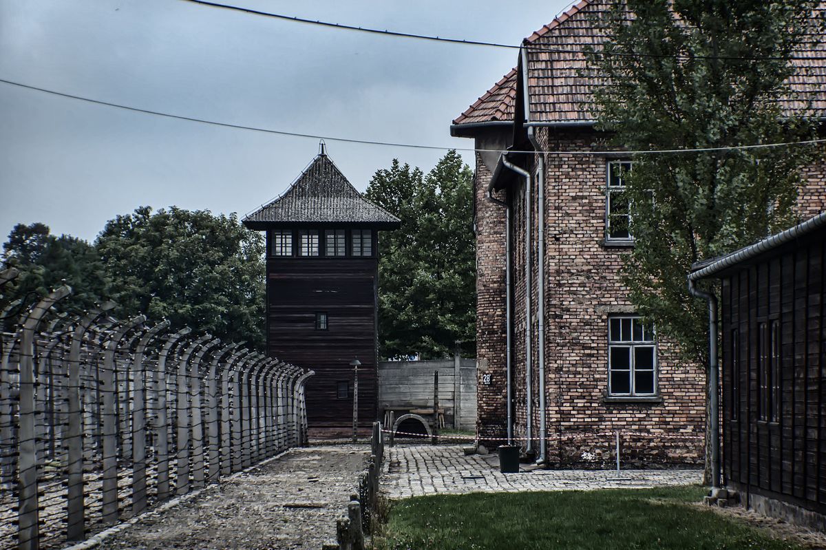 Dyrekcja Muzeum Państwowego Auschwitz-Birkenau zbiera środki, które mają pomóc rodzinie chłopca w rozpoczęciu nowego życia.