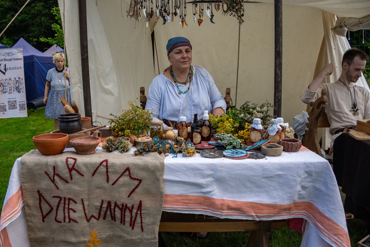 Piknik Historyczny w Ujściu