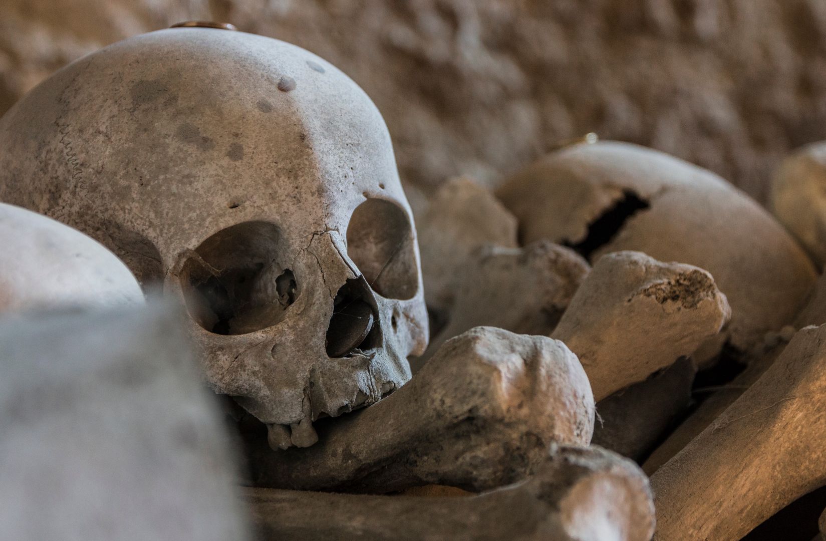 Czaszki oraz lampy oliwne były głównymi przedmiotami badań archeologów w izraelskiej jaskini 