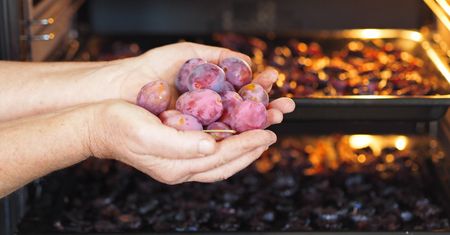 Jak suszyć śliwki? Tak zrobisz to bez suszarki do owoców
