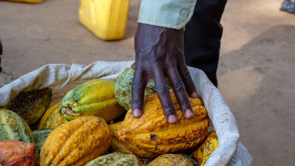 Niewolnictwo dzieci. Giganci pozwani