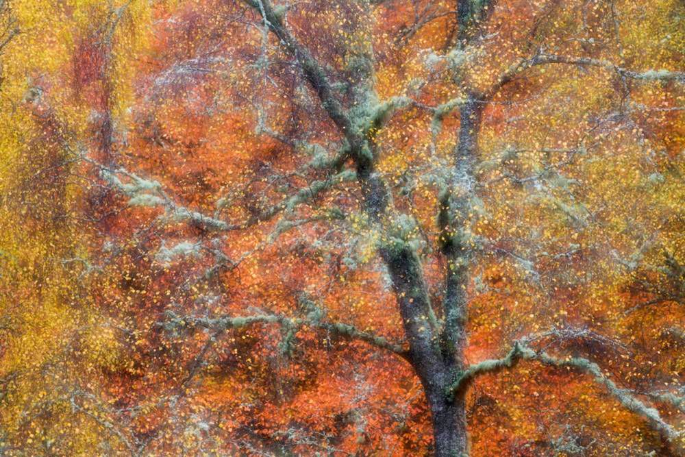Oto najlepsze zdjęcia przyrody w konkursie British Wildlife Photography Awards 2014 7