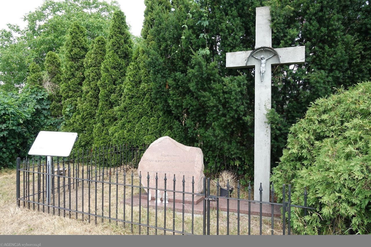 Cholerka czy Grabówka?
