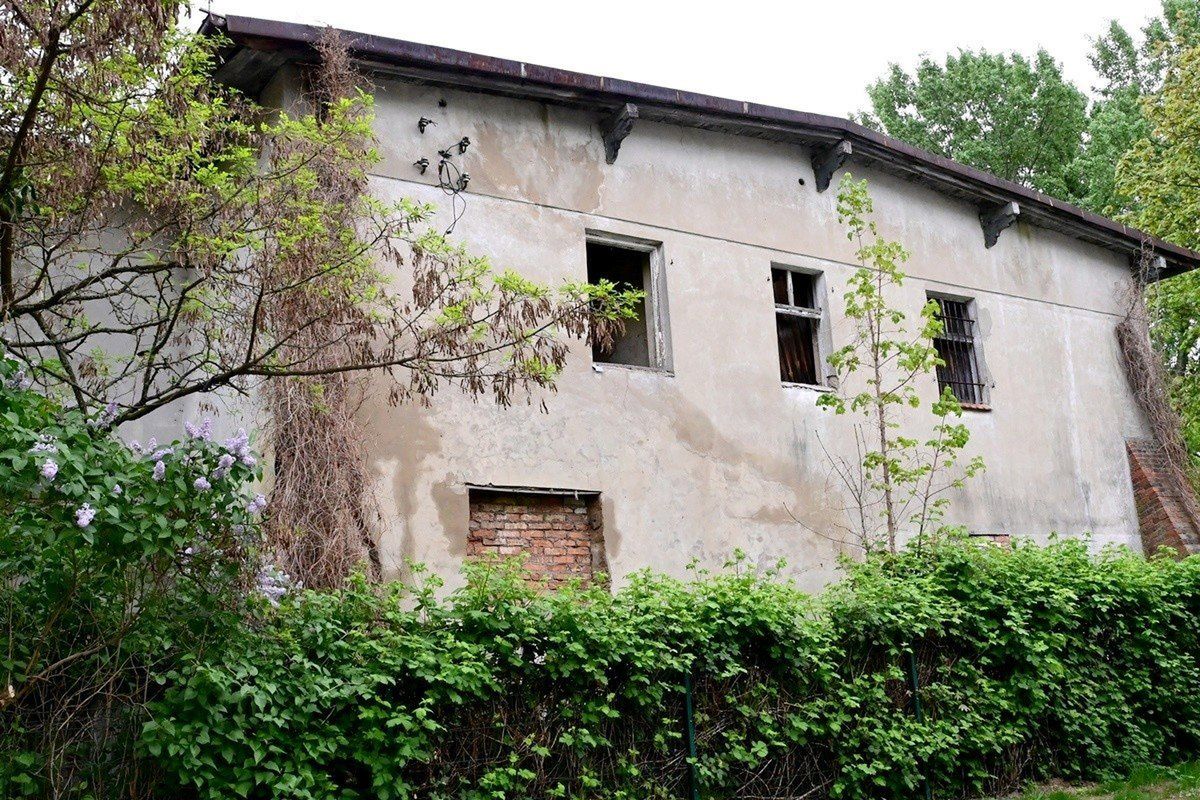 Zapomniana i opuszczona willa Hamburger na jednym z wrocławskich osiedli niedługo zniknie w gąszczu zieleni. Zobacz, jak wygląda to miejsce na zdjęciach, zajrzyj do galerii &gt;&gt;&gt;