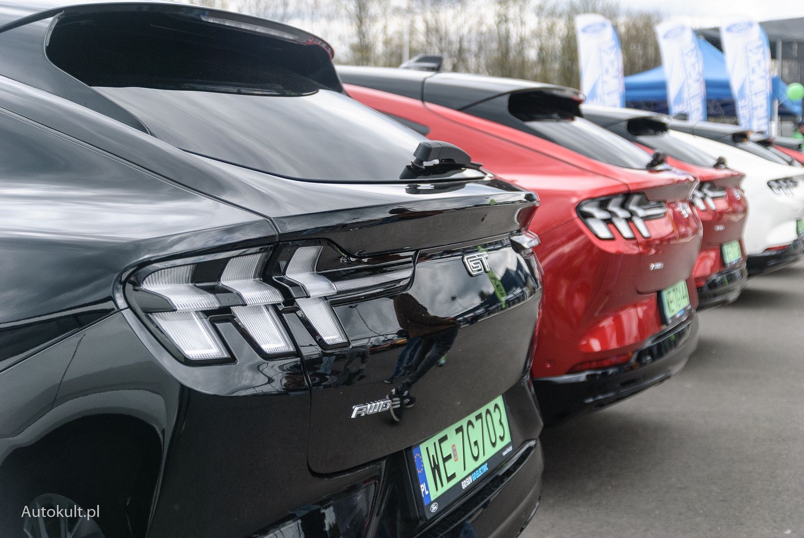 XV Ogólnopolski Zlot Mustangów