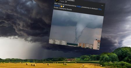Eksperci biją na alarm. Groźne zjawisko na Śląsku