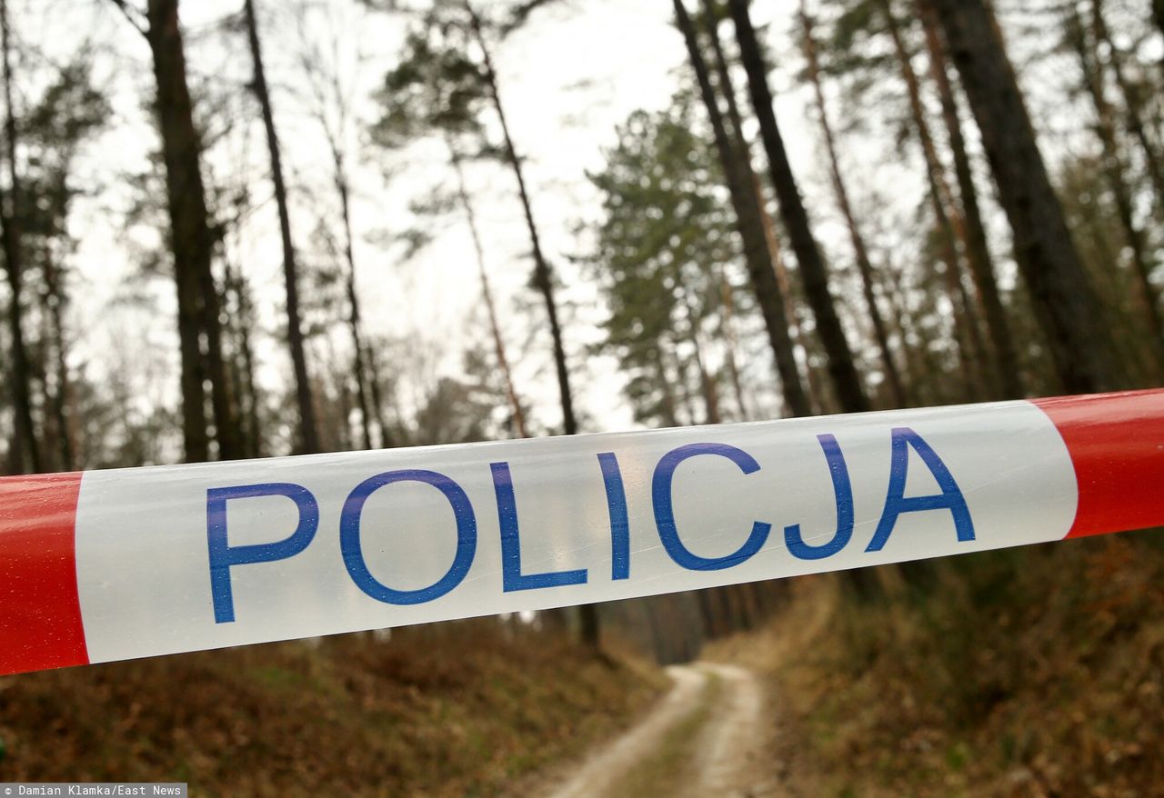 Zabójstwo w Łodzi? Zatrzymano 13-latkę