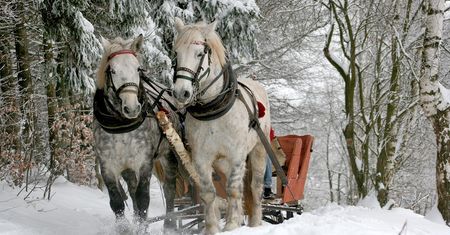 Powiedzenia i przysłowia o zimie. Sprawdź, czy je znasz