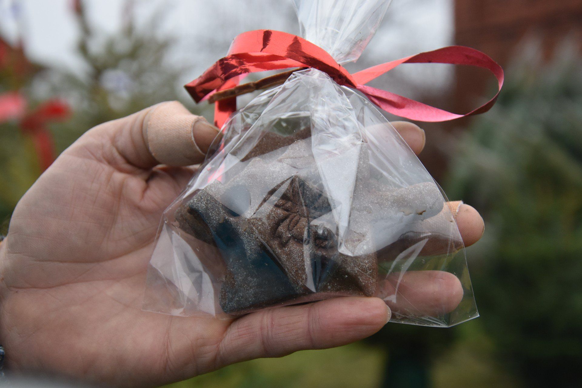 Choinki ze szczytnym przesłaniem