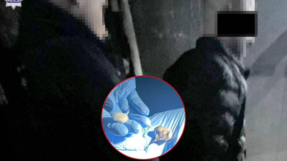 Policyjny „łowca głów” zatrzymał w lokalu kebaba poszukiwanego Tunezyjczyka