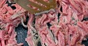 Mięso mielone pod lupą IJHARS. Nieprawidłowości w co drugim produkcie