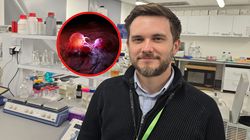 Polscy naukowcy znaleźli sposób na raka? Wyniki badań są bardzo obiecujące