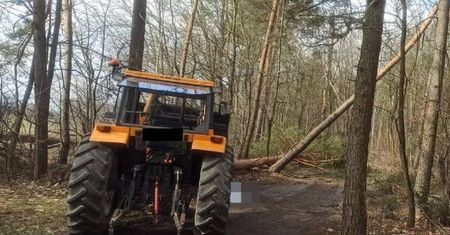 Wypadek śmiertelny przy wycince drzew. Mężczyzna zmarł po tym jak przygniótł go pien drzewa