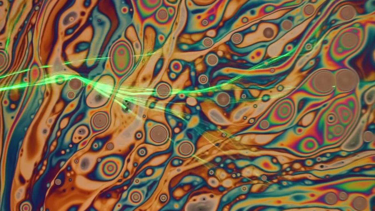 Niesamowite filmy z konkursu Nikon Small World. Zobacz to, co niewidoczne 1