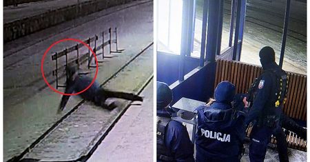 Kolejny alarm na torach. Był pod wpływem alkoholu