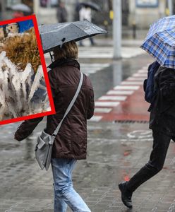 Szykuje się nagły zwrot w pogodzie. Nadciąga niż Dagmar