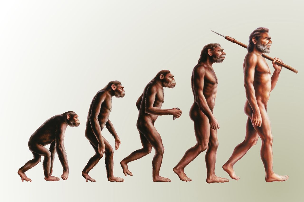 Ewolucja to dzieło przypadku? Nic bardziej mylnego
