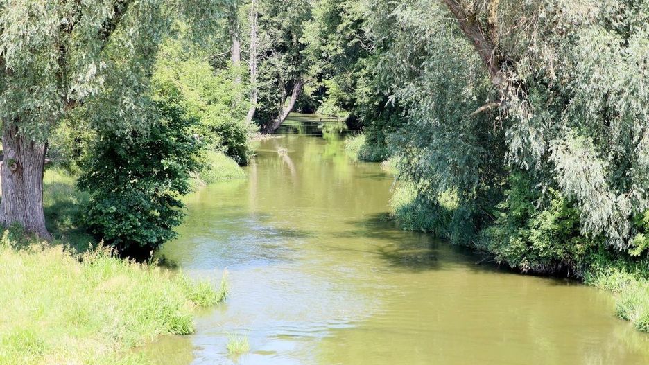 Plaża przy osiedlu Łąkowa oraz kładka piesza na rzece – to pierwsze elementy parku nadrzecznego, które powstaną wzdłuż Bystrzycy. Zajmie ponad 70 hektarów terenów. Koszt jego powstania jest szacowany na 90 mln zł.
