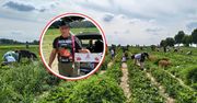 Byliśmy na samozbiorach. Tłumy na plantacji. Rolnik: tylko 17 zł/kg