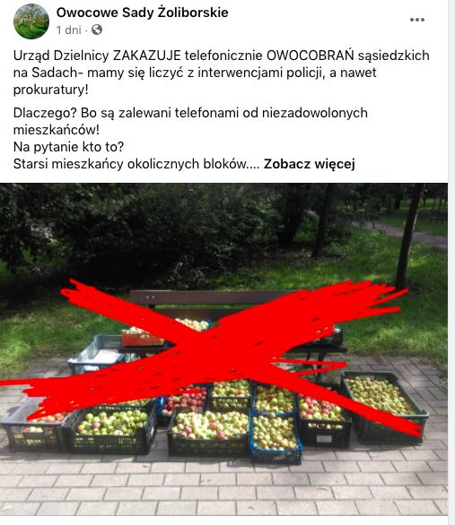 Warszawa. Mieszkańcy Żoliborza, skupieni w grupie Owocowe Sady Żoliborskie, zaniepokoili się, że urząd dzielnicy zakazuje im zbierania owoców rosnących w Parku Sady Żoliborskie