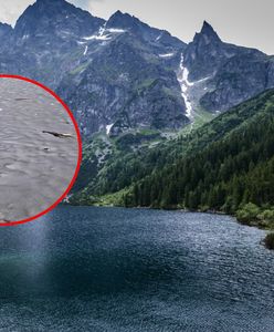 Na Morskim Oku topnieje lód. Odsłonił smutny widok