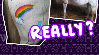 Malowanie konia kredkami - fajna zabawa czy znęcanie się nad zwierzętami? Opinie są podzielone