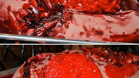 8 najbardziej obrzydliwych anatomicznych tortów [+18] 1