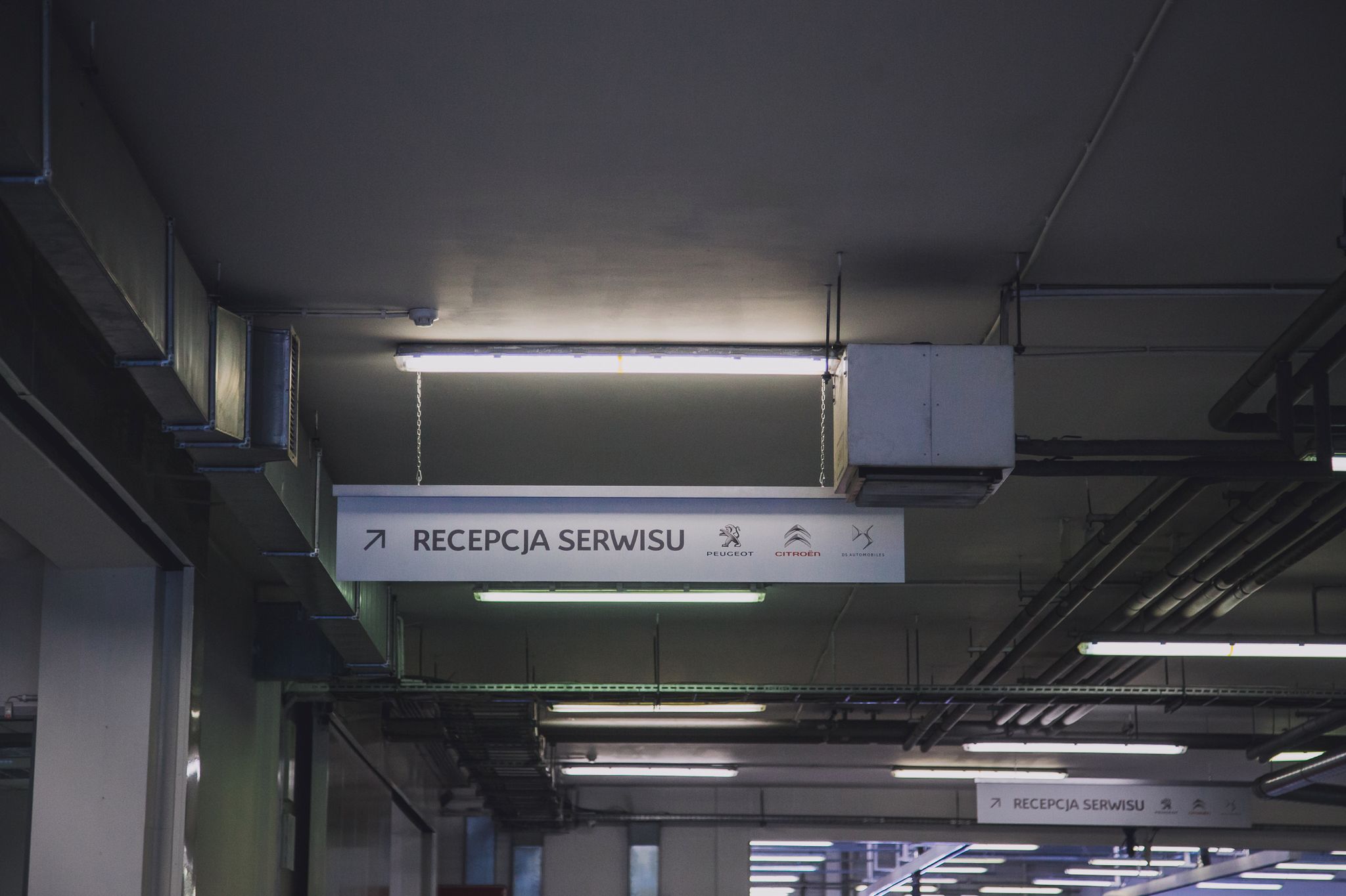 Zdjęcie ilustracyjne do artykułu