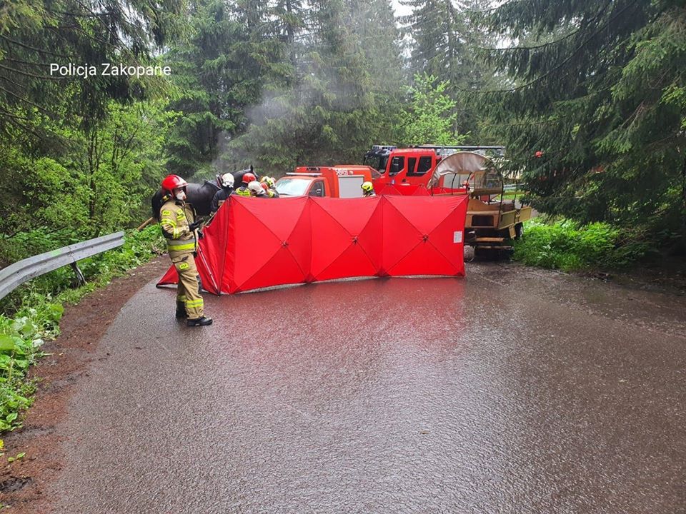 Wypadek na drodze do Morskiego Oka. "Nie uda się uratować konia"