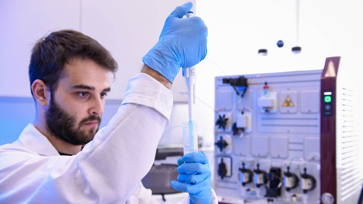 fot. Pedro Vilela/Getty Images