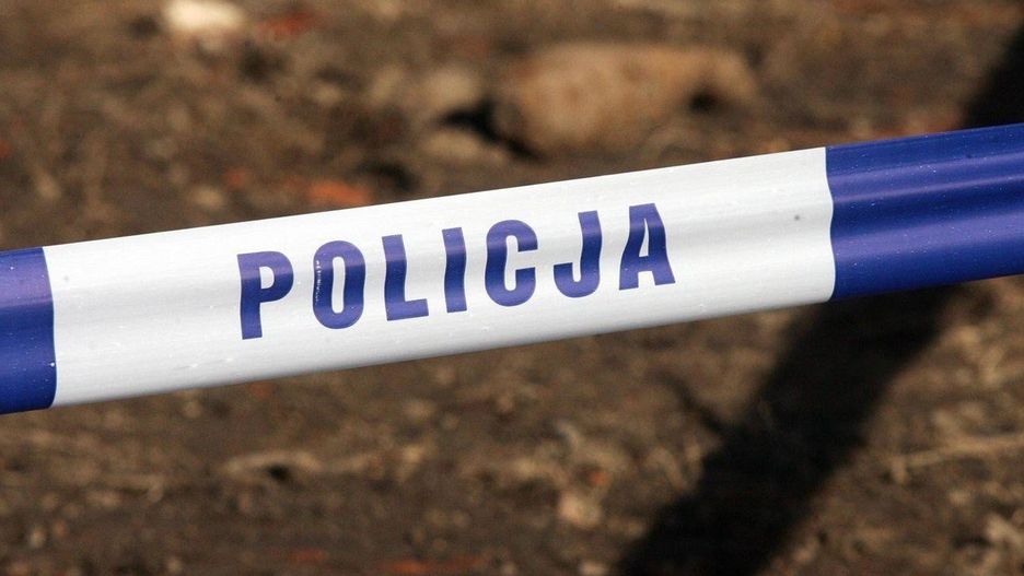 zdjęcie ilustracyjne