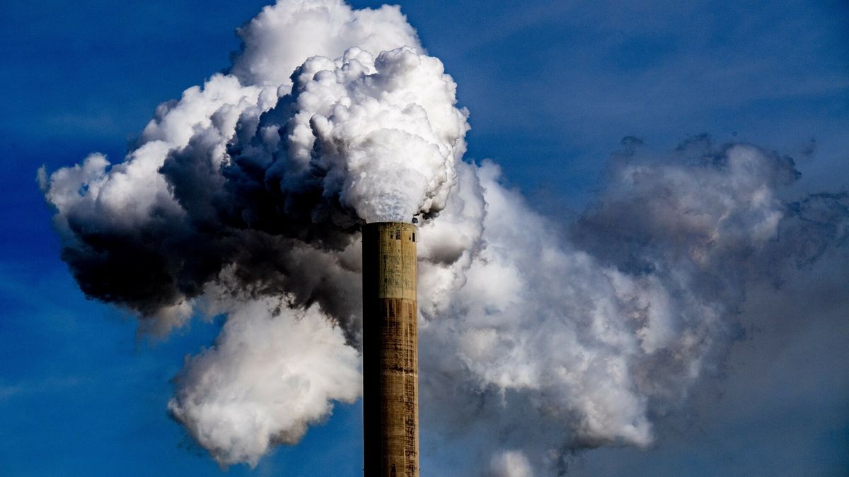 Holandia wraca do energii z węgla z powodu kryzysu na rynku gazu 