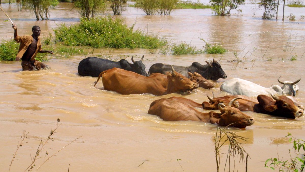 Zdjęcie ilustracyjne.