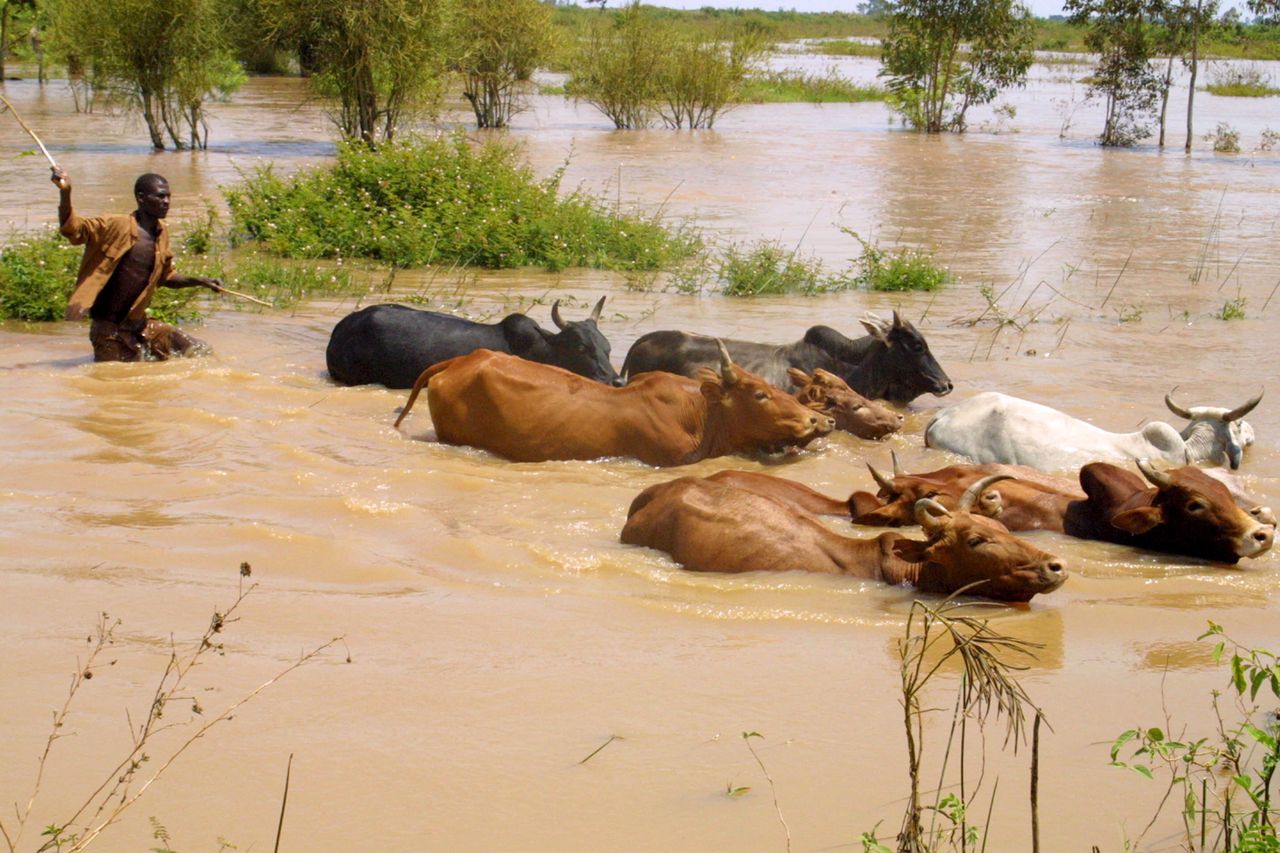 Flood disaster in Congo: Over 100 dead, aid delayed