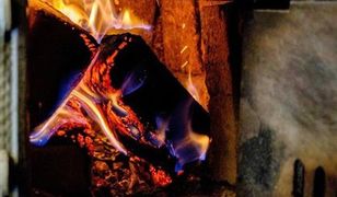 Zobacz, ile Polacy płacą za energię i skąd ją biorą. Zaskakujące dane