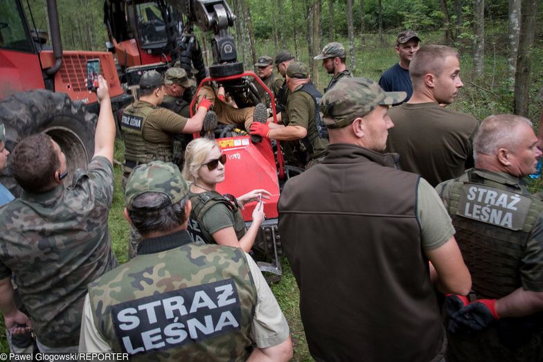 03.08.2017, Puszcza Białowieska. Blokada harwestera przeprowadzona przez Obóz dla Puszczy.
