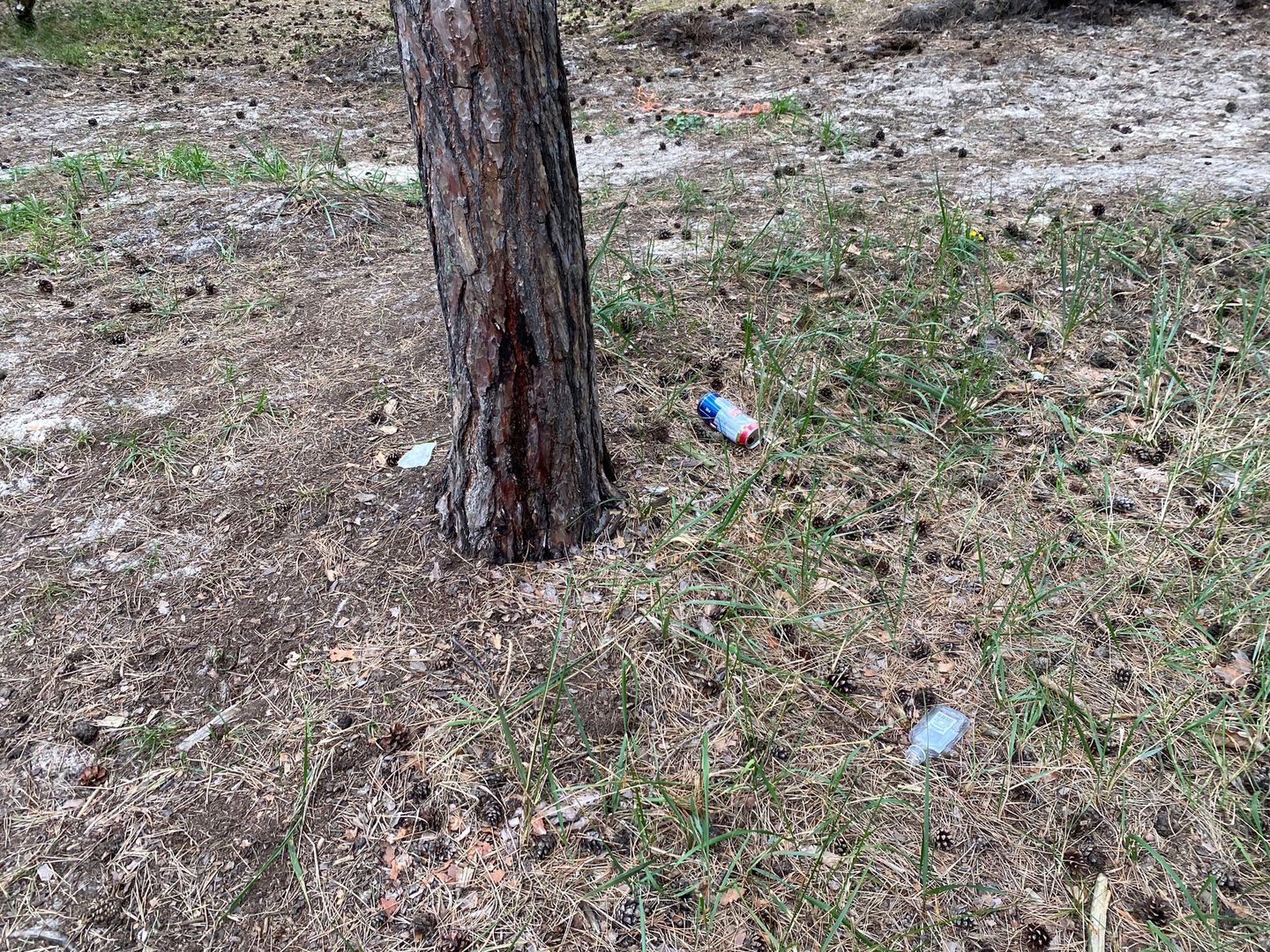 Turyści pozostawili po sobie masę śmieci