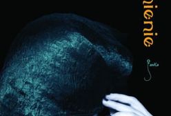 Afrodyzjak zewnętrzny albo Traktat o biczyku. Dziełko medyczno-filozoficzne z dodaniem rozprawy o wszystkich środkach podniecania miłosnych rozkoszy oraz z katalogiem afrodyzjaków