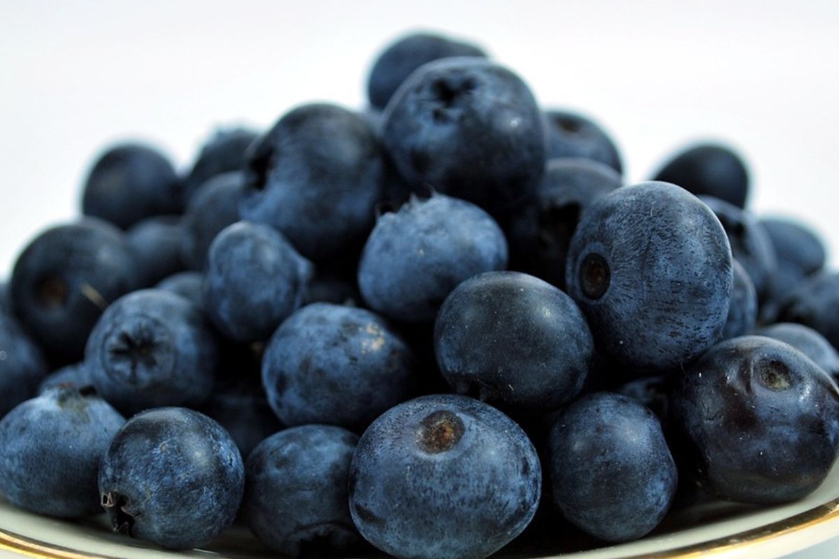 A no-bake cake with blueberries tastes like a dream.