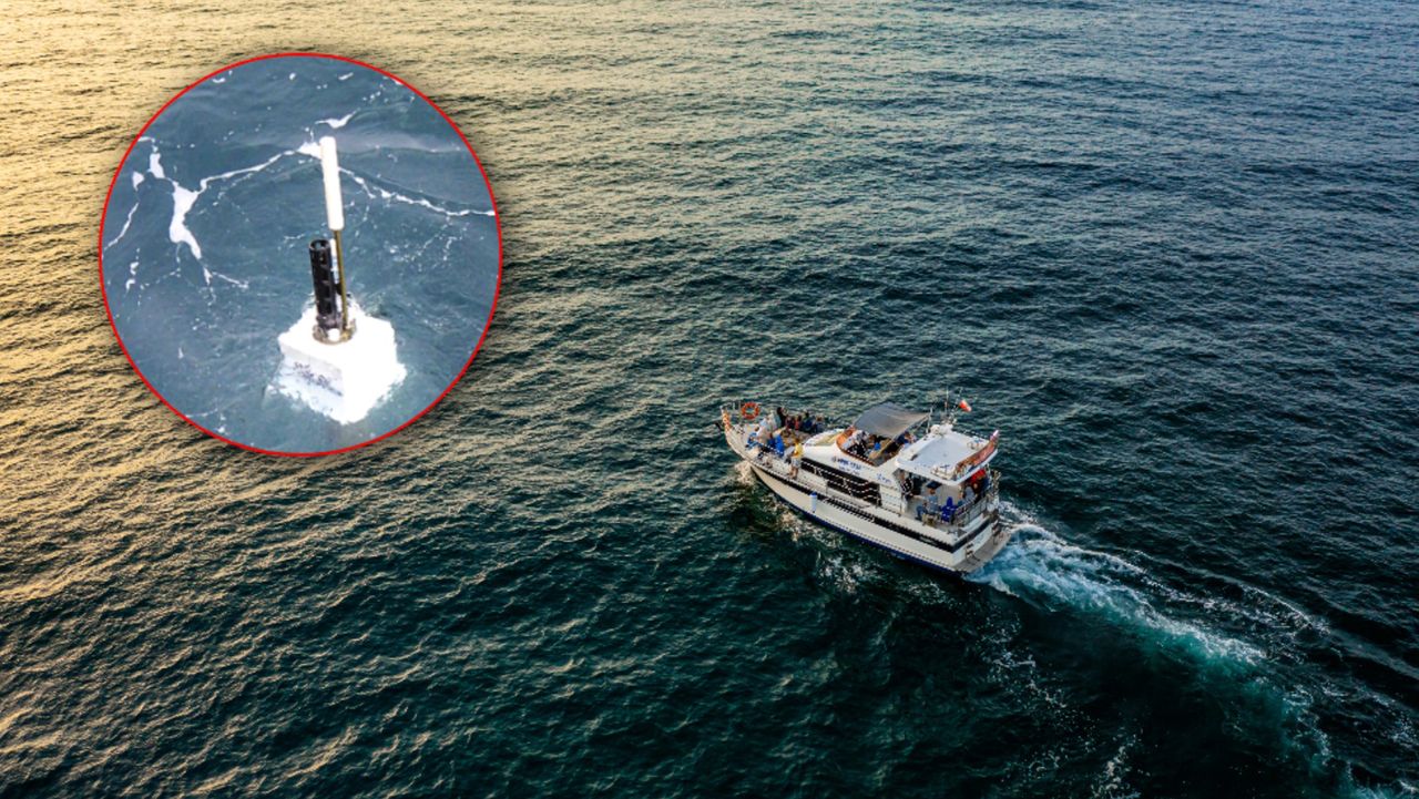 Pływaki badawcze można pomylić z torpedami. Na co dzień badają Bałtyk