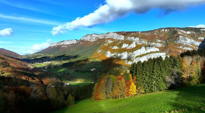 Wszystkie kolory świata 5