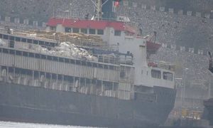 Dramat tysięcy krów. Ugrzęzły na statku, władze zakazały rozładunku w porcie