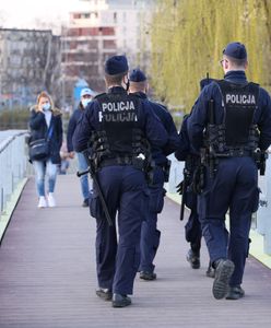 Wpadka policji. Media: Mieli pilnować pociągu, pomylili stację