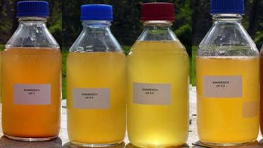 6 najdziwniejszych podatków w historii 1