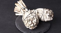 Biała szałwia – poznaj właściwości tej rośliny